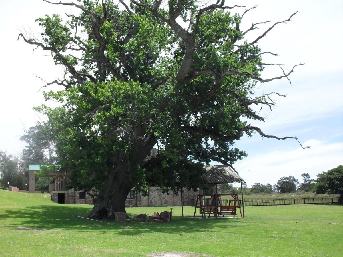 Вилла Soloko Game Farm Kareedouw Экстерьер фото